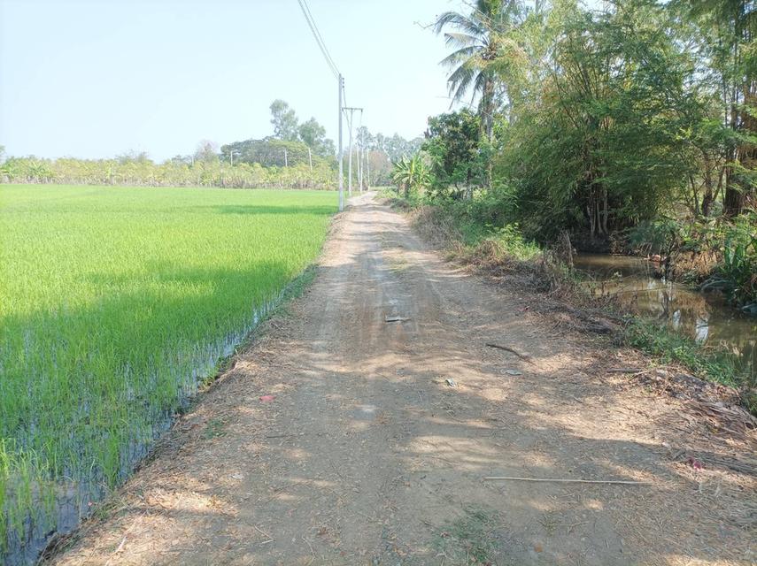 ขายที่ดิน 16ไร่1งาน ต.สง่าบ้าน อ.ดอยสะเก็ด จ.เชียงใหม่ 14