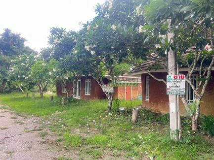พุหวายฮิลล์รีสอร์ท ชะอำ ที่ดินพร้อมบ้านพัก 7 หลัง ท่ามกลางธรรมชาติ 6