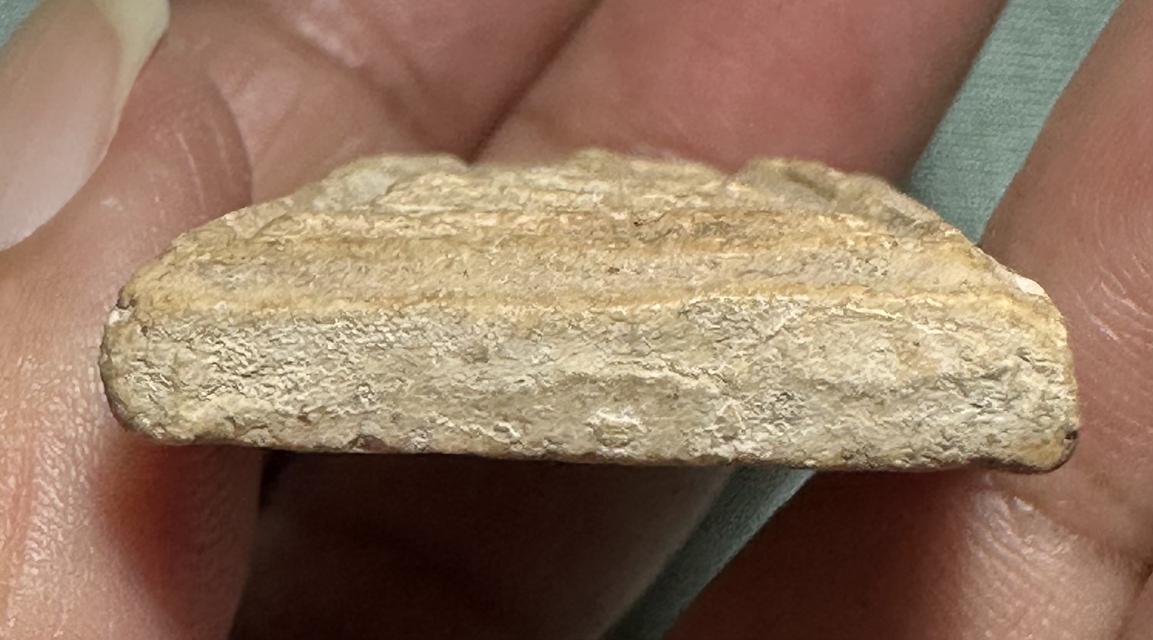 พระสมเด็จพระอาจารย์สุพจน์ วัดสุทัศน์ พิธีอินโดจีน รูปที่ 6