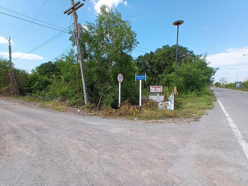 ขายที่ดิน 3 ไร่ คลอง12 ซอยสวนเกษตร2 ต.นพรัตน์ หนองเสือ ปทุมธานี 7