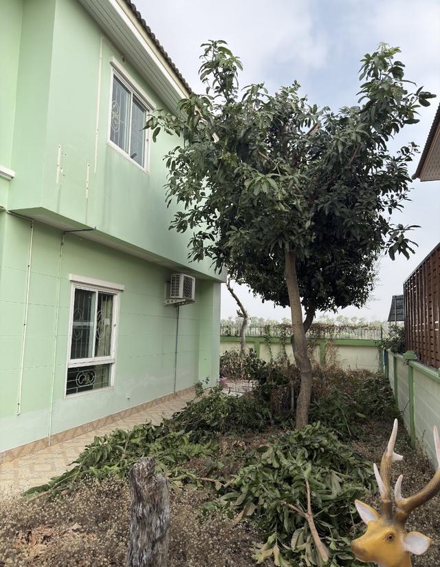 ขายบ้านเดี่ยว 77 ตารางวา เจ้าของขายเอง 14