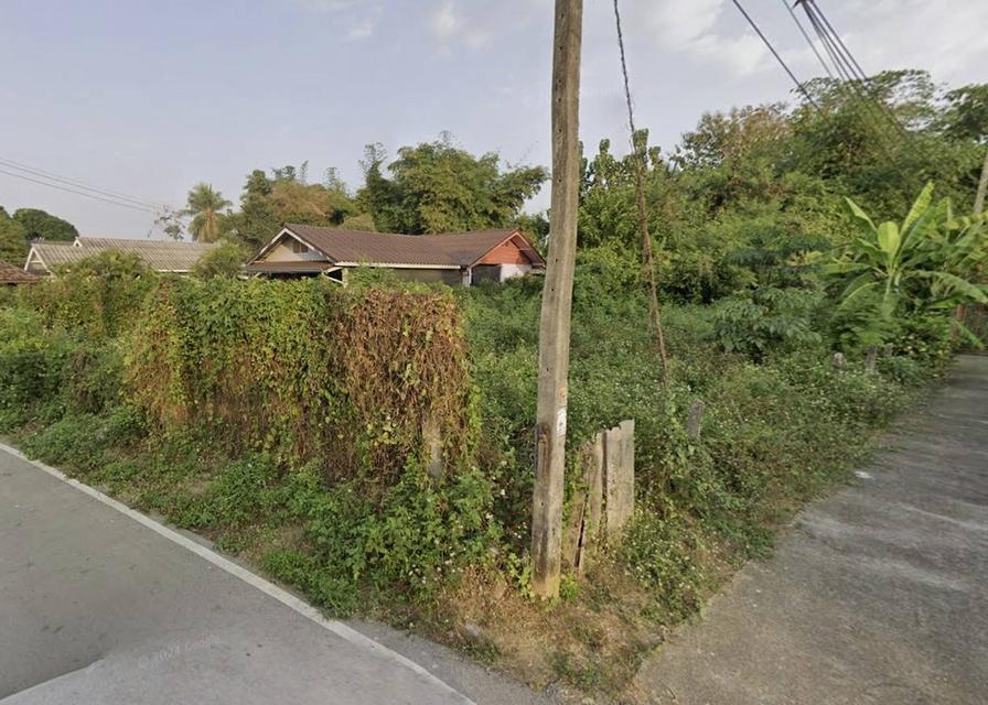 ขายที่ดิน 179 ตร.ว. ย่านชุมชนบ้านผึ้ง อ.เกาะคา ทำเลศักยภาพสูง เหมาะพัฒนาเป็นบ้านเช่าหรือหอพัก 3