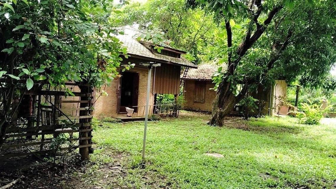 บ้านพักตากอากาศ ติดลำธาร สันทราย 6