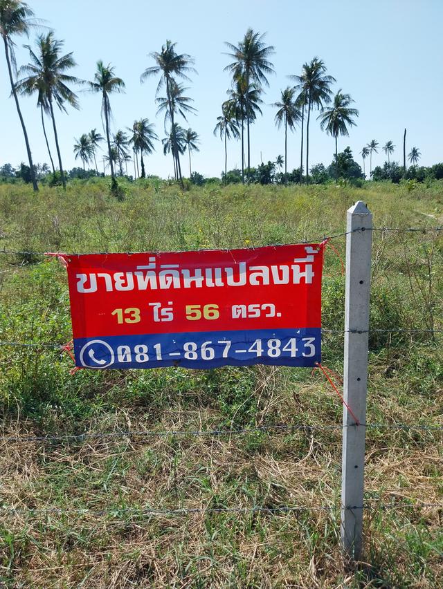 ขายที่ดินสวย (เจ้าของขายเอง) 1