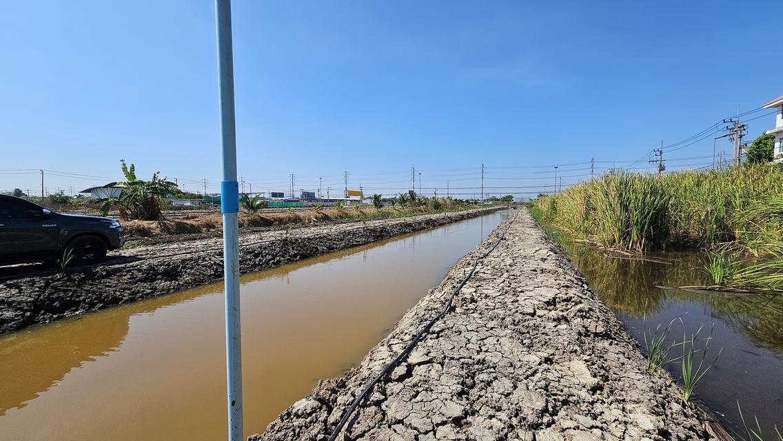 ขายที่ดินลำลูกกาคลองห้าปทุมธานี 5