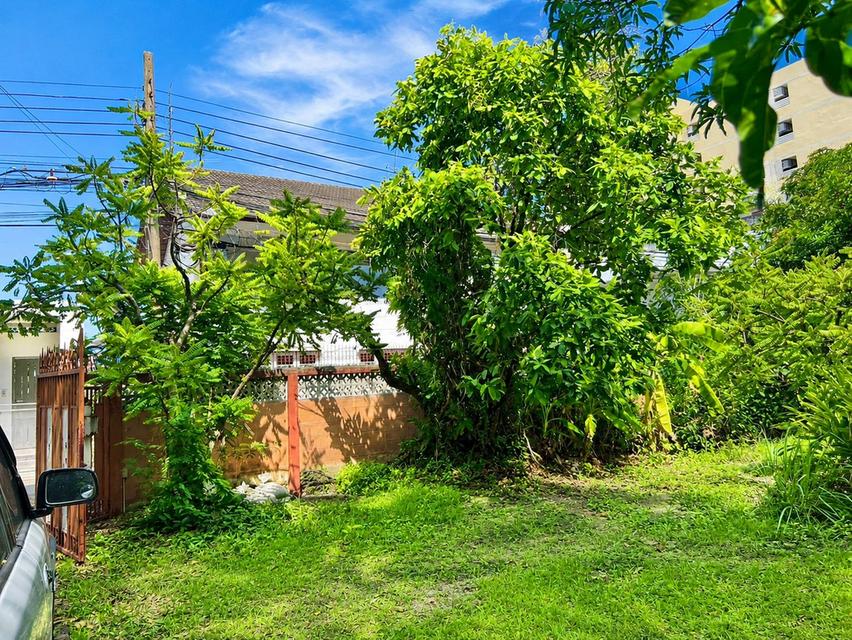 ขายที่ดินลาดพร้าว พร้อมสิ่งปลูกสร้าง 398 ตร.ว. ซอยลาดพร้าว 1 แยก 4-5 ใกล้ Central ลาดพร้าว และ MRT พหลโยธิน 5