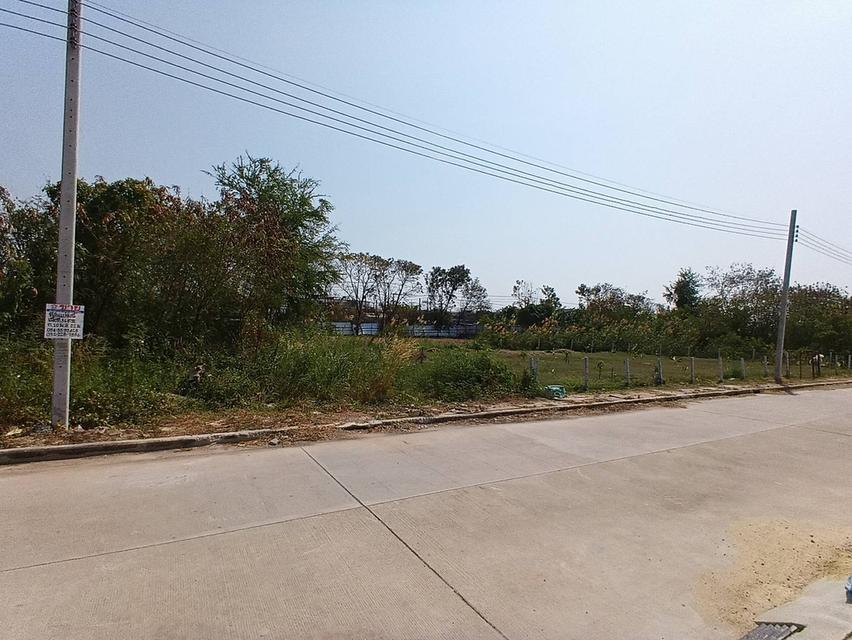 ที่ดิน 56.1 ตารางวา ถมแล้ว ซอยเฉลิมพระเกียรติ 39/2 ติดสวนหลวงร 9 เขตประเวศ กรุงเทพฯ 3