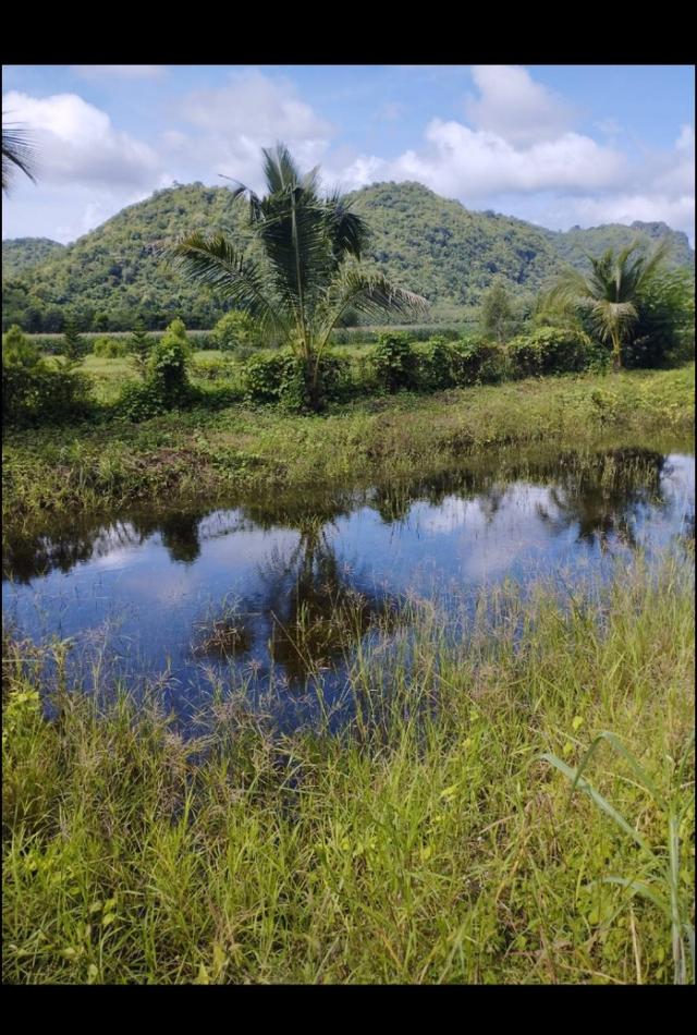 ขายที่ดินสวยวิวเขาธรรมชาติ เนื้อที่2ไร่ 1