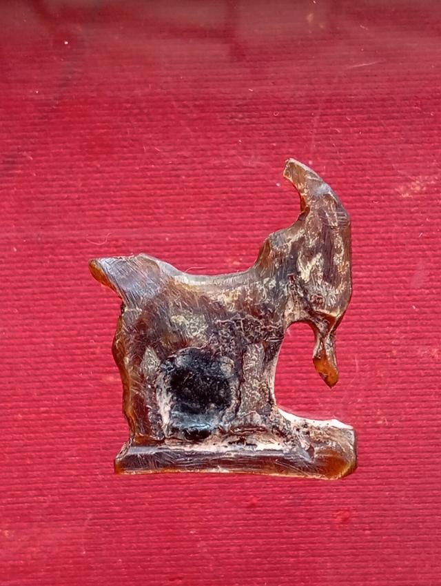 แพะ หลวงพ่ออ่ำ วัดหนองกระบอก รูปที่ 2