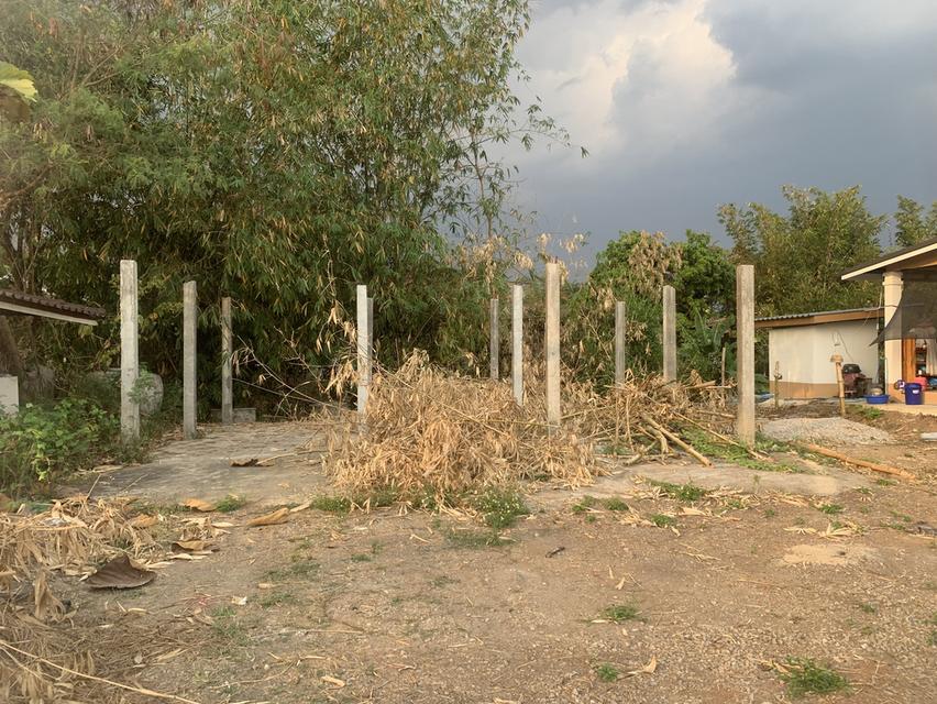 ขายที่ดิน จำนวน 3 งาน 1