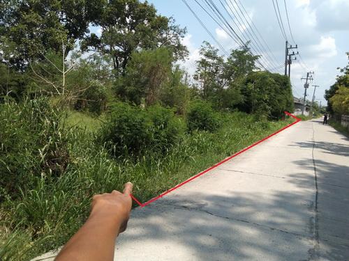 ที่ดินเปล่า 1-1-88.4 ไร่ ต.เมืองปัก อ.ปักธงชัย จ.นครราชสีมา  6