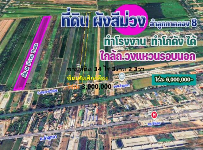 ขายที่ดิน ผังสีม่วง(ที่ดินประเภทอุตสาหกรรม) ,土地出售，紫色圖（工業用地） 17