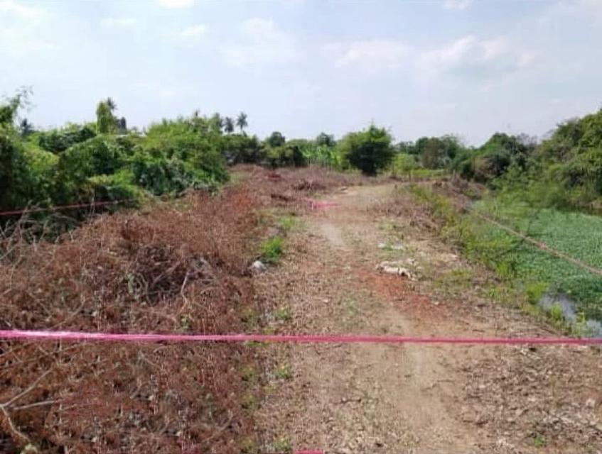 ที่ดินติดน้ำ เมืองนครปฐม 7