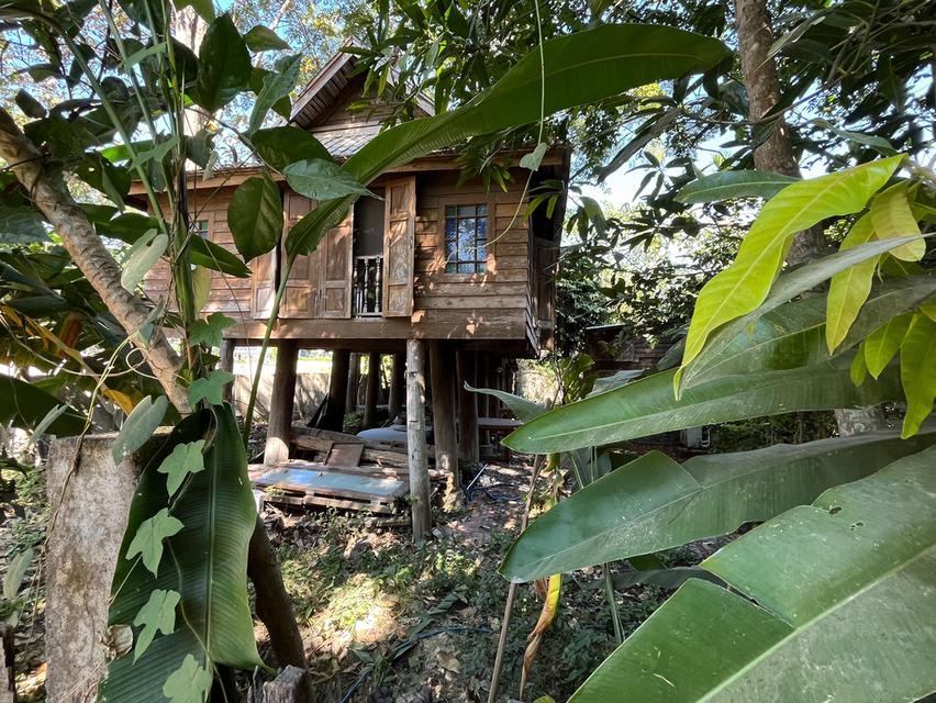 ที่ดินพร้อมบ้าน จำนวน 1 ไร่ มี 2 โฉนด 14