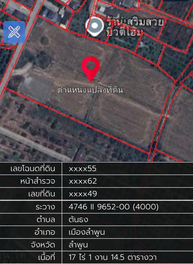 ขายที่ดิน ต.ต้นธง อ.เมือง จ.ลำพูน 1
