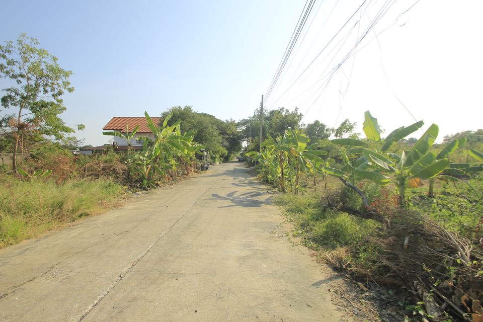 ที่ดินพุทธมณฑลสาย2ซอย21 ซอยศุภมิตร 114วา ที่ดินสร้างบ้าน ติดทางสาธารณะประโยชน์ ใกล้ถนนพรานนกสาย4 ตัดใหม่ เดินทางสะดวก 30,000บาท/วา 7