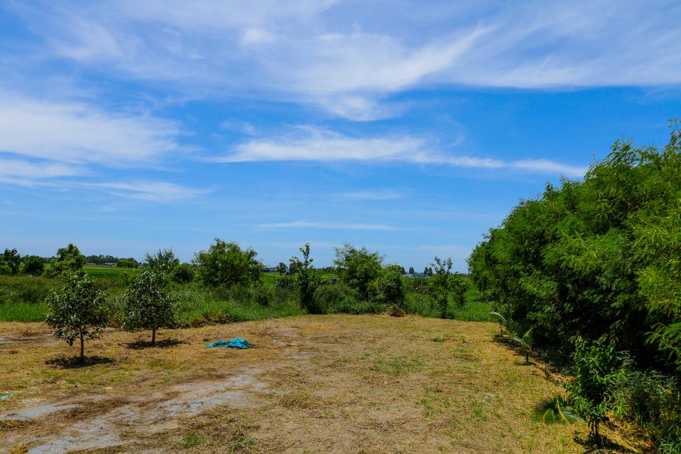 ขายที่ดิน 3 ไร่ อ.อู่ทอง จ.สุพรรณบุรี 4