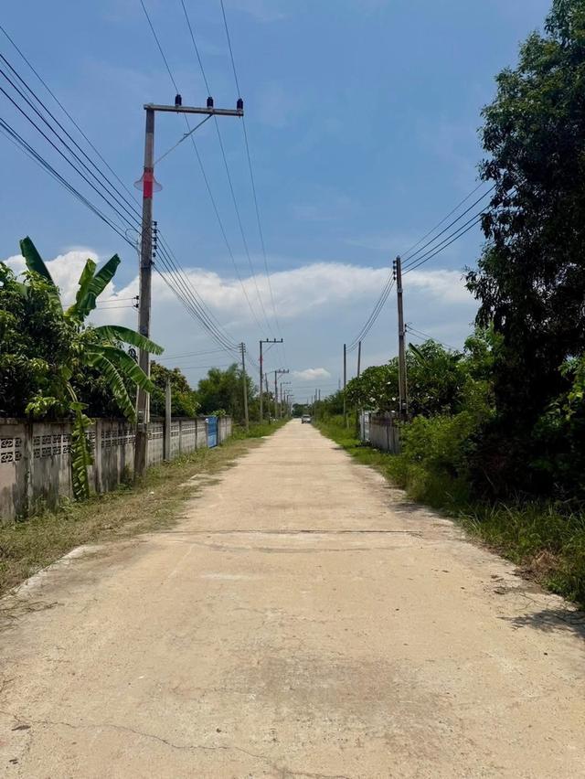 ขายที่ดินคลองขุด 130 ตรว. ติดถนนคอนกรีต ใกล้ถนนเส้น3304-3กม. อ.บ้านโพธิ์ ฉะเชิงเทรา 1