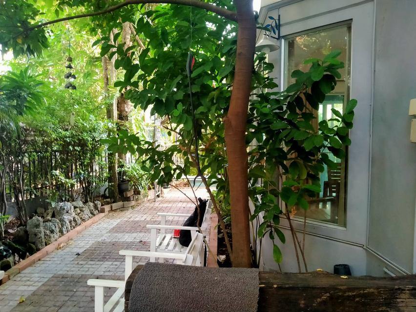ให้เช่าบ้านพฤกษ์ลดา2  ถนนไสวประชาราษฏร์ ต.ลาดสวาย อ.ลำลูกกาคลอง4 จ.ปทุมธานี 20