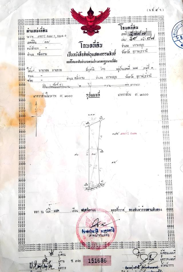 ขายที่ดินโฉนด ไร่ละ 2 ล้านบาท ถูกที่สุดในสมุย ตลิ่งงาม เจ้าของขายเอง 1