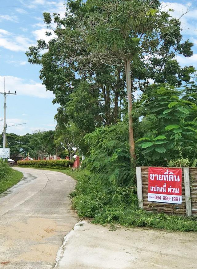 รูป ขาย ที่ดิน ชะอำ ติดถนน - 209 ตร.วา ที่ดินติดรีสอร์ท อ.ชะอำ จ.เพชรบุรี. 5