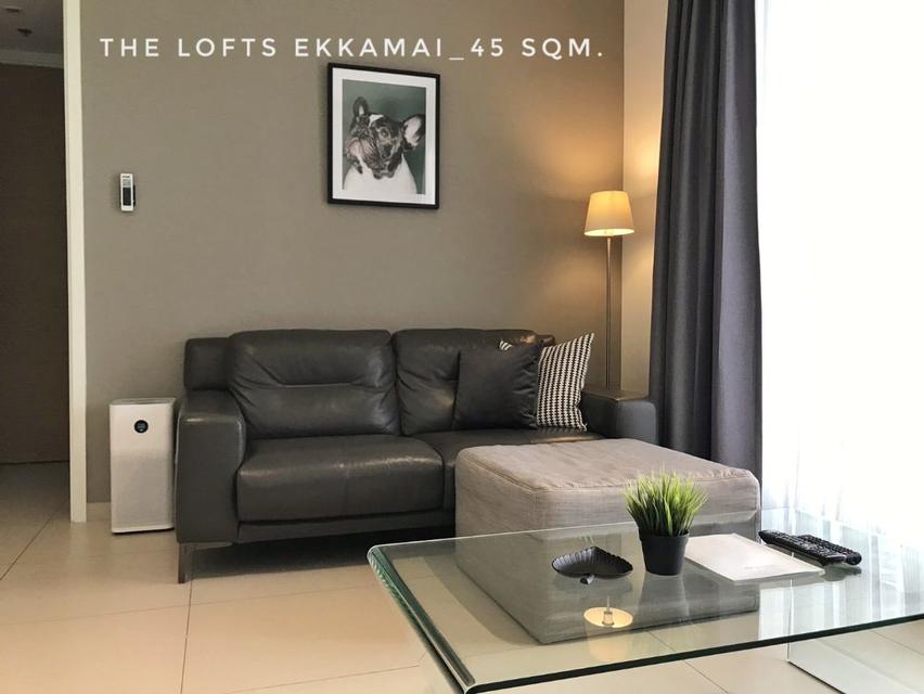 ให้เช่า คอนโด ห้องใหญ่ 1 นอน วิวสวย ห้องสวย The Lofts เอกมัย (เดอะ ลอฟท์ เอกมัย) 45 ตรม. ใกล้ BTS เอกมัย ห้าง ร้านค้า สะ 1