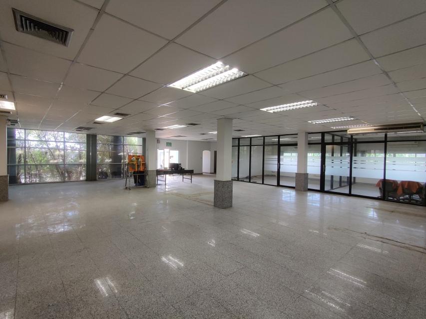 ที่ดินพร้อมออฟฟิศ+โกดังสินค้า 19