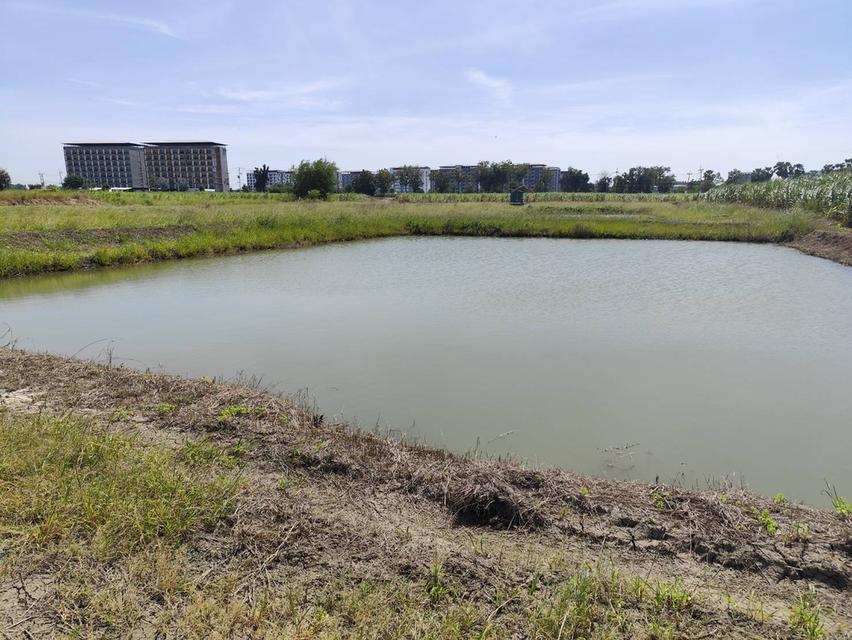 Sale large land 9.3 Rais suitable for projects or building house etc, can be subdivided Kamphaeng Saen District, Nakhon Pathom Province near Bangkok 1