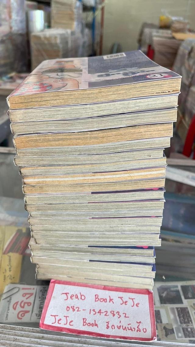 หนังสือการ์ตูน คู่หมัดคู่กัด 1-22 จบ 7