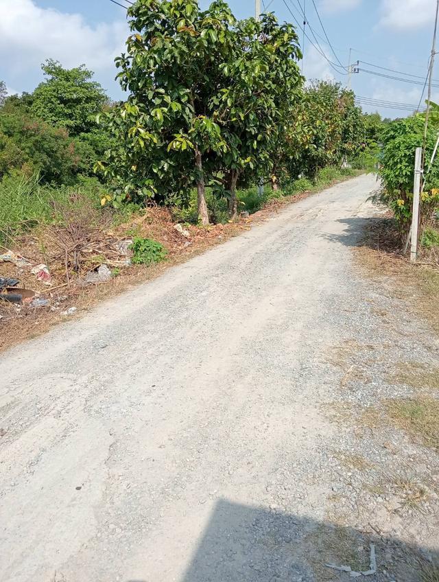 ขายที่ดินบ้านสวน ราคาถูกๆ1ไร่4ล้านหนองแขม
