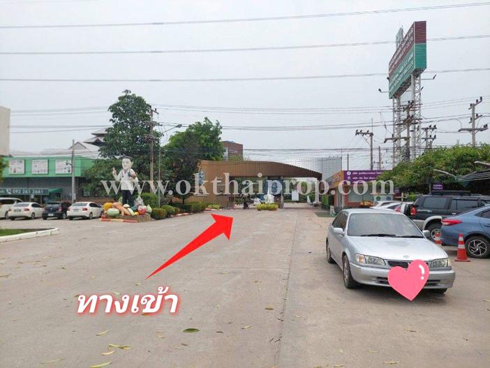 ที่ดิน ถนน3111 ต.ห่อหมก อ.บางไทร จ.อยุธยา 11