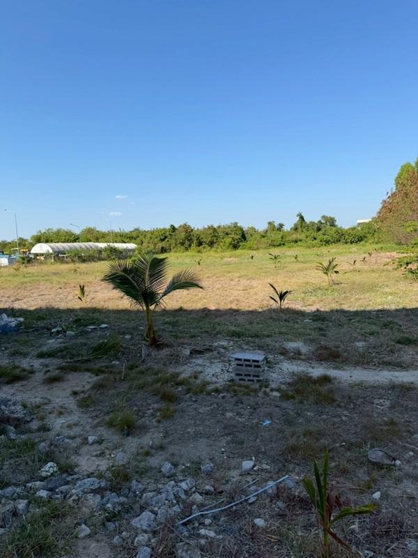 ขายที่ดิน บางนา กม.25 (พื้นที่สีแดง) เนื้อที่ 4 ไร่ 3 ตรว. ติดถนนบางนา-ตราด ฝั่งขาออก โทร 090-6360022 8