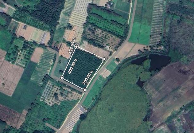 ที่ดินสวนยางมีผลไม้แซมหลากหลาย มีต้นสักขนาดใหญ่ และมีโฉนด 13