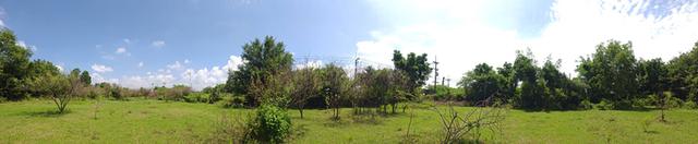 ขายที่ดินผืนงาม 22 ไร่เศษ ติดถนนใหญ่ โซนสีเหลือง อ.แปลงยาว ฉะเชิงเทรา (เขต EEC) – เหมาะแก่การลงทุน ท 5