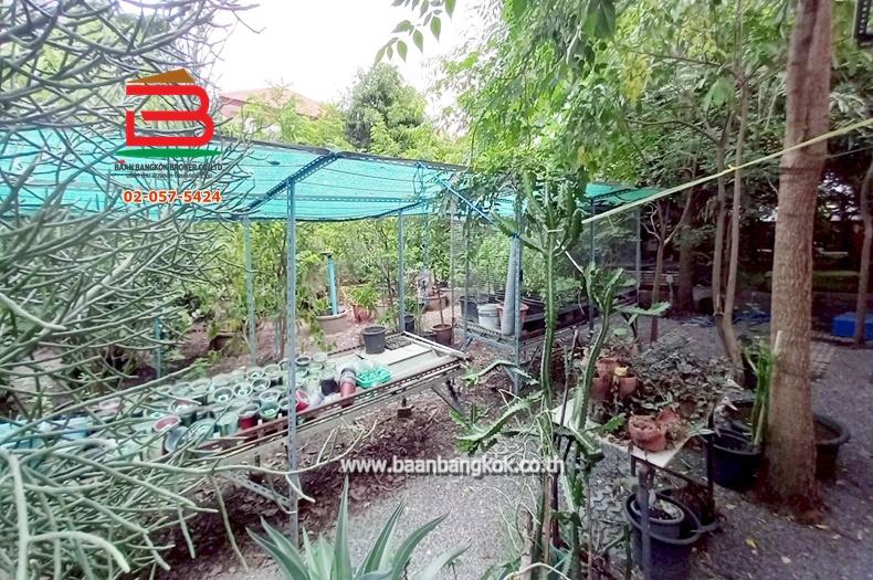 ที่ดินเปล่า ซอยนิมิตใหม่ 11 เนื้อที่ 100 ตรว. ถนนนิมิตใหม่ แขวงทรายกองดิน เขตคลองสามวา กรุงเทพมหานคร 4