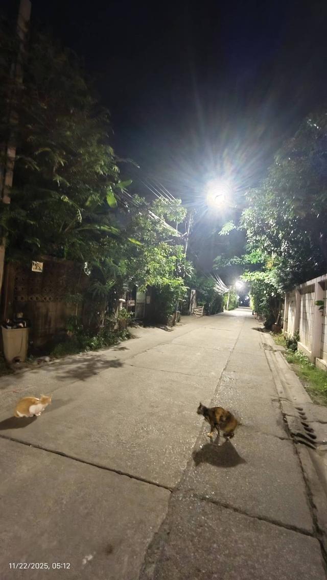 ขายบ้านถนนลาดพร้าว ใกล้รถไฟฟ้าสายสีเหลือง 16