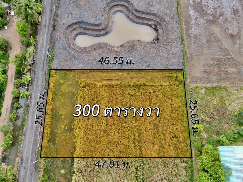 ขายที่ดินคลอง 11 หนองเสือ ปทุมธานี — 300 ตร.ว. ราคา 1.15 ล้านบาท 3