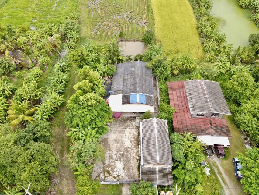 ที่ดินพร้อมบ้านทำเลดี ติดถนน ติดถนนเลียบคลอง 7 ฝั่งคลองหลวง ห่าง อบต.คลอง 7 เพียง 500 เมตร 10