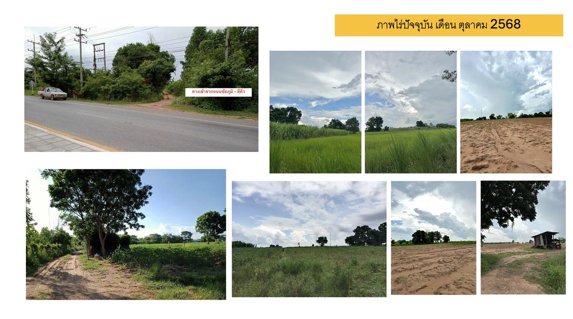 ขายที่ดิน อำเภอจตุรัส จังหวัดชัยภูมิ ทั้งหมด 39 ไร่ 3 งาน (ด่วน!)  2