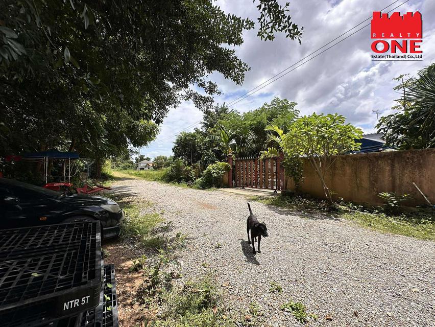 ที่ดินแบ่งขายราคาถูกมาก ทำเลดีในโคราช หัวทะเล ขนาด99 ตร.ว. เพียง 1.2 ล้านบาท (ต่อรองได้) ฟรีโอน 12