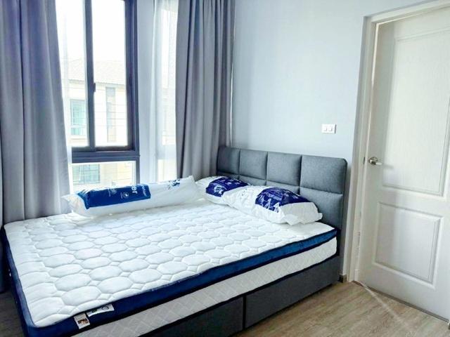 รักสัตว์ เมกา บางนา 1.3 กม. ให้เช่าบ้าน 2 ชั้น ใหม่ หรูหรา สุขุมวิท-บางนา บางแก้ว ตกแต่งสไตล์ 3นอน 4 น้ำ 46 ตร.วา.186 ตร 3