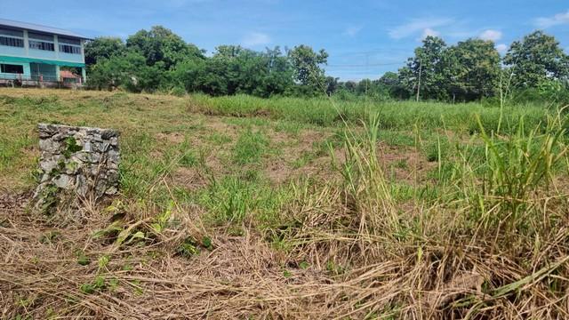 ขายที่ดินใกล้อ่างมาบประชัน (ถ.พรประภานิมิตร) พัทยา บางละมุง ชลบุรี 6