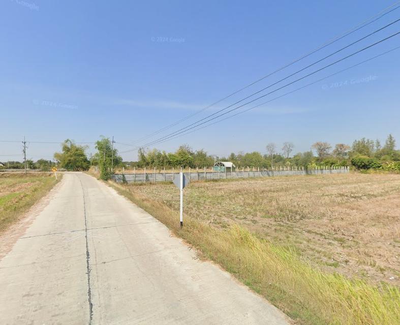 ขายที่ดินหนองขยาด 2 ไร่ ติดถนนคอนกรีต ใกล้แยกมาบโป่ง(นิคมอมตะ)9กม. อ.พนัสนิคม จ.ชลบุรี 1
