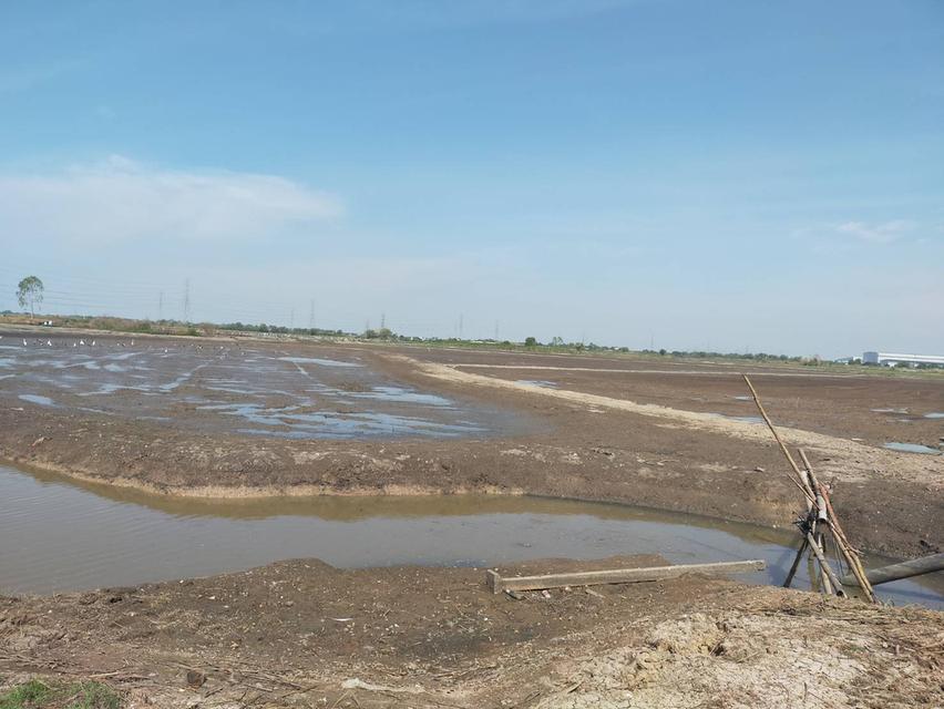 ต้องการขายที่ดิน ใกล้ทางด่วนบางปะอิน-โคราช  บางปะอิน  33 ไร่ 2 งาน 2 ตรว 9