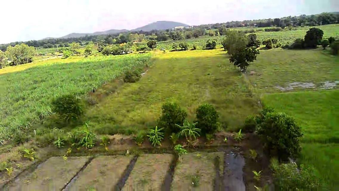 ขายที่ดินเปล่า ทำเลดี ติดถนนปูน ไฟฟ้าถึง จังหวัดสุพรรณบุรี 1