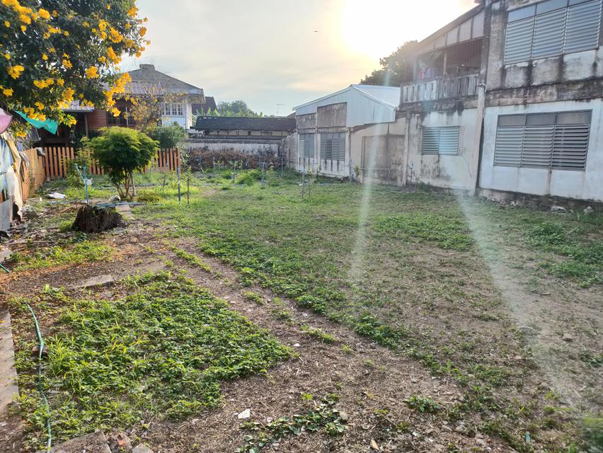 ที่ดิน เด่น หน้ายาว สวย งาม ใจกลาง- เทศบาลเมือง - ถ.วังขวา ต.เมือง จ ลำพูน 3
