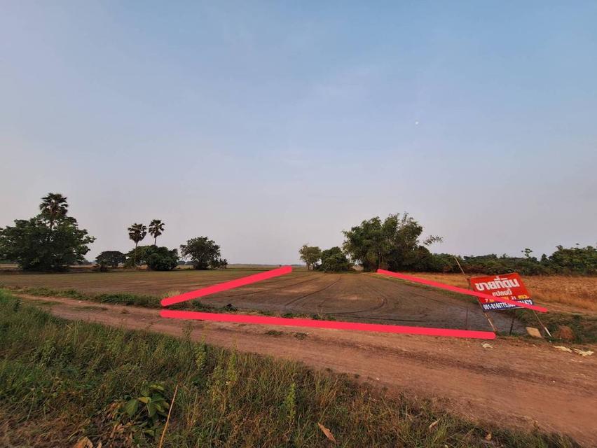 ที่ดินมีทางเข้าออก โฉนดครุฑแดง มีทางเข้าออด เจ้สของขายเอง 3