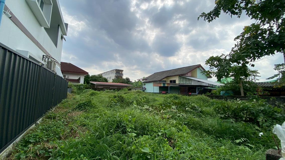 ขายด่วน ที่ดินใกล้เดอะมอลล์บางแค 75 ตารางวา ติดถนนคอนกรีตสาธารณะ ถมแล้ว ซอย เพชรเกษม 68 แยก 29 เขตภาษีเจริญ กทม. 8