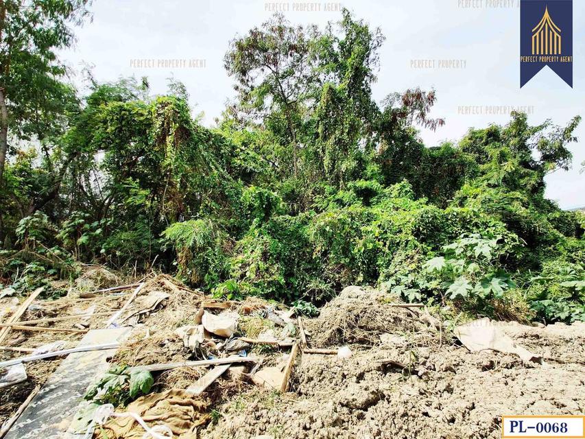 ขาย ที่ดิน สีแดง ติดรถไฟฟ้า BTS สายสีเหลือง ติดถนนศรีนครินทร์ สมุทรปราการ 5