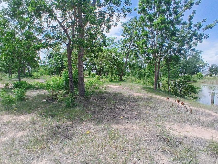 ขายที่ดิน 2-2-55 ไร่ เขาช่องพราน ตำบลเตาปูน อำเภอโพธาราม จังหวัดราชบุรี 2